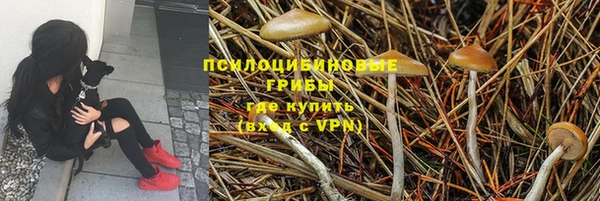 соль курить ск Богородск