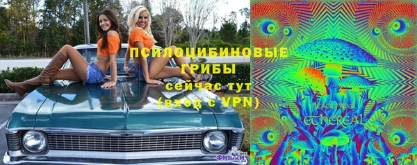 прущие грибы Сосновый Бор